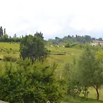 Pane E Rose San Miniato