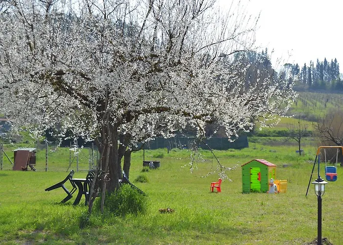 Pane E Rose Сан-Миниато