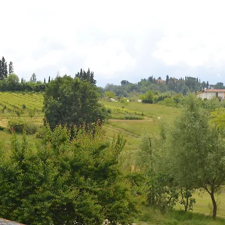 Pane E Rose San Miniato