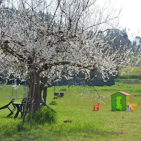 Pane E Rose San Miniato
